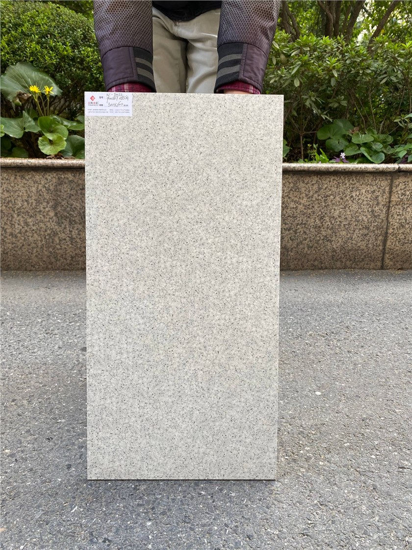 PW66F283SG（XC-T0022)